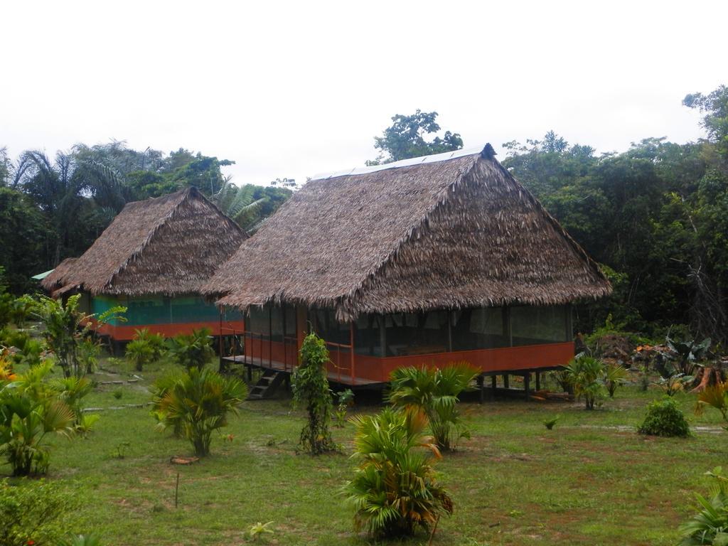 Amazon Eco Tours & Lodge Iquitos Exterior foto